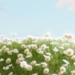 The role of sound in creating memorable video experiences